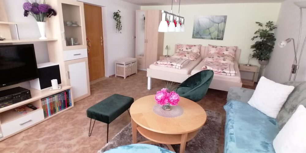 Wohn-Schlafzimmer
