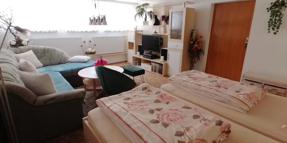 Wohn-Schlafzimmer_kleiner3